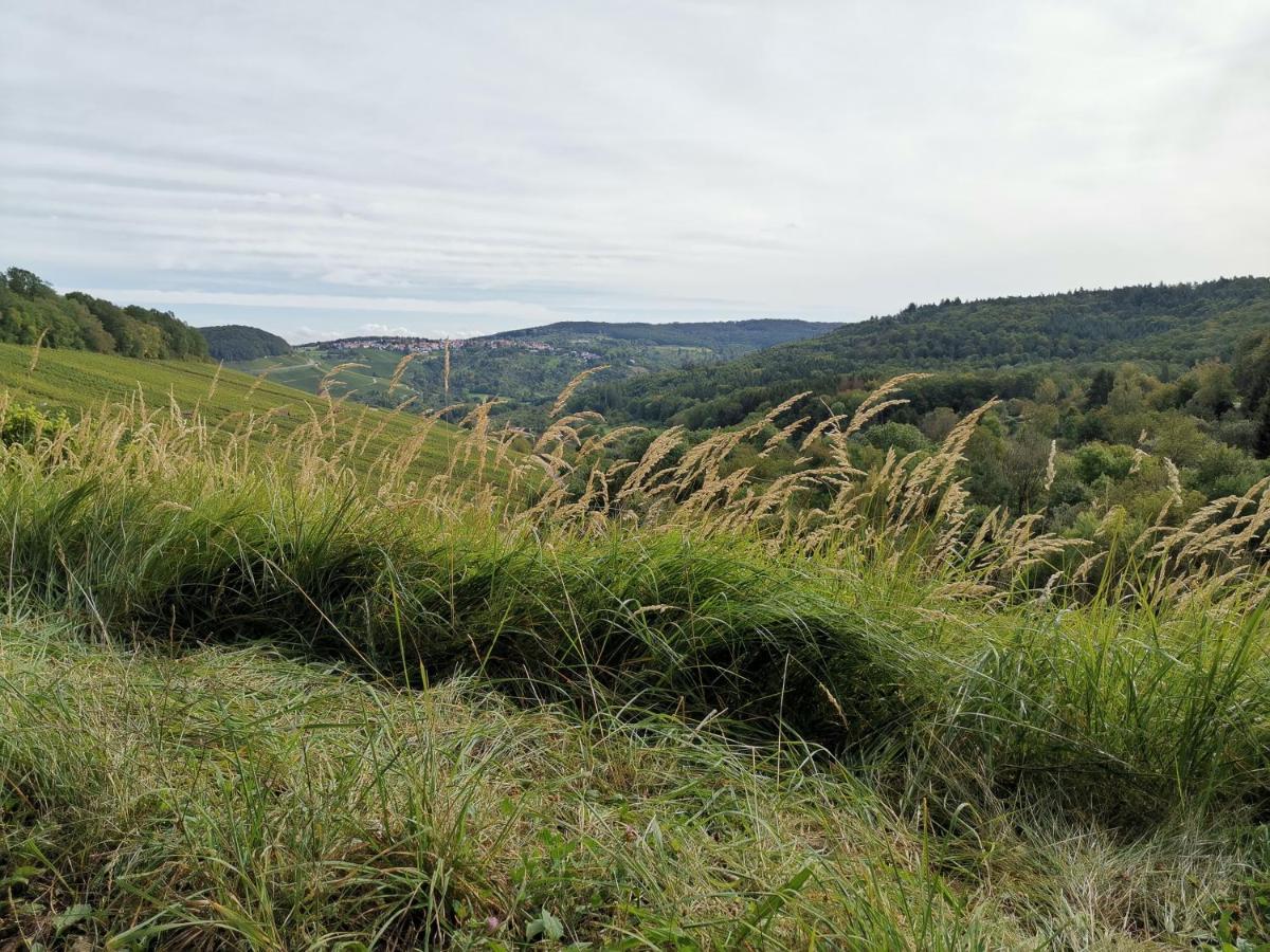 Apartment Schwaikapart Sonnige In Nähe Der Weinberge *